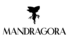 Logo - MARTYNA ŚLEDZIK CONCEPT STORE, Trakt Lubelski, Warszawa 04-790 - Przedsiębiorstwo, Firma, godziny otwarcia