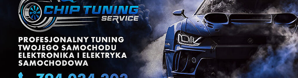 Zdjęcie w galerii CHIP TUNING SERVICE Chiptuning Lublin DPF nr 1