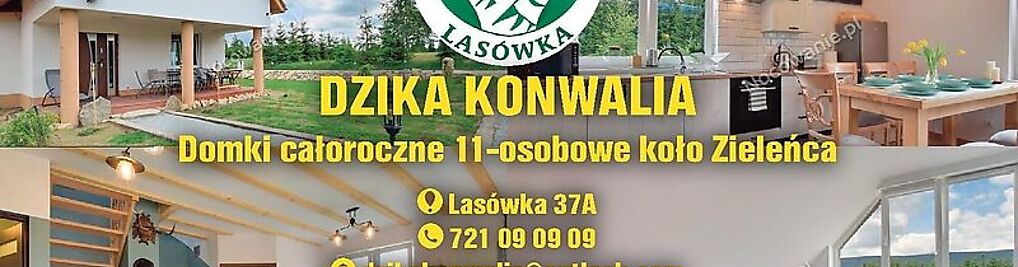Zdjęcie w galerii Dzika Konwalia domki całoroczne, Lasówka 37A, 57-500 Lasówka nr 8