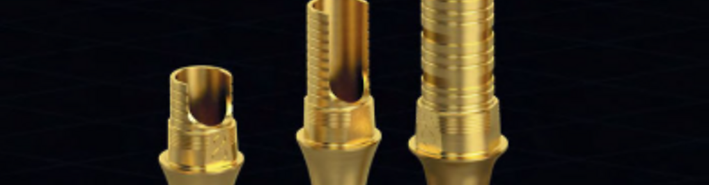 Zdjęcie w galerii IMPLANT SYSTEM nr 1