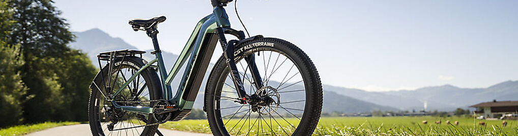 Zdjęcie w galerii Bardin Spółka Z Ograniczoną Odpowiedzialnością nr 1