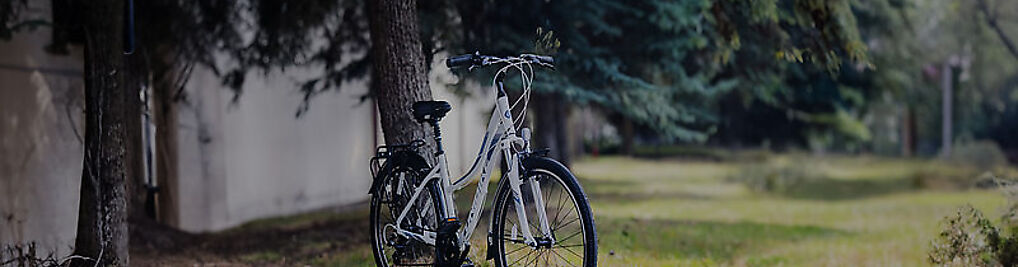 Zdjęcie w galerii Bardin Spółka Z Ograniczoną Odpowiedzialnością nr 2