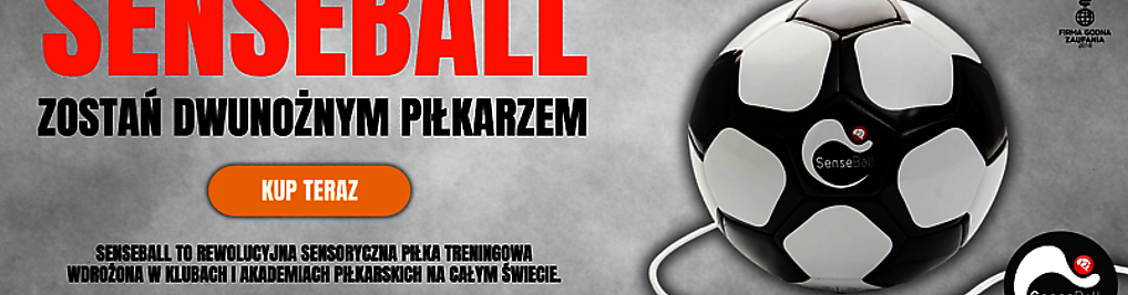 Zdjęcie w galerii NeoFutbol.PL - Hurtownia i Sklep ze Sprzętem Sportowym nr 2