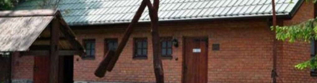 Zdjęcie w galerii Ośrodek Wypoczynkowy OSTOJA nad Bugiem nr 7