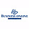 Logo - Business Online Piotr Buczak, Przemysłowa 26, Balice 32-083 - Serwis, godziny otwarcia, numer telefonu