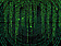 Logo - Widoczność w sieci, Malwowa 25, Kraków 30-611 - Przedsiębiorstwo, Firma, numer telefonu