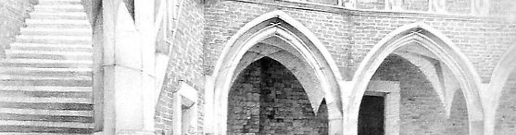 Zdjęcie w galerii Kurs Rysunku Elipsa nr 7