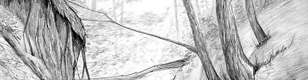 Zdjęcie w galerii Kurs Rysunku Elipsa nr 8