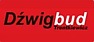 Logo - Dźwig Bud Trentkiewicz Michał, Cegłowa 43, Zacharzew 63-400 - Przedsiębiorstwo, Firma, numer telefonu