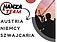 Logo - Hanza Team - Agencja Pracy, Pośrednictwo Pracy Niemcy, Austria 45-707 - Usługi, godziny otwarcia, numer telefonu
