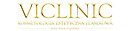 Logo - Viclinic Medycyna Estetyczna Kosmetologia Depilacja laserowa 25-647 - Przedsiębiorstwo, Firma, godziny otwarcia, numer telefonu