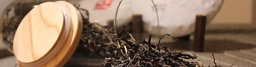 Zdjęcie w galerii Wega Mirosław Jedynak nr 1