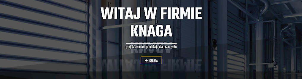 Zdjęcie w galerii Webrix – Strony i sklepy WordPress | SEO | Wieluń nr 7