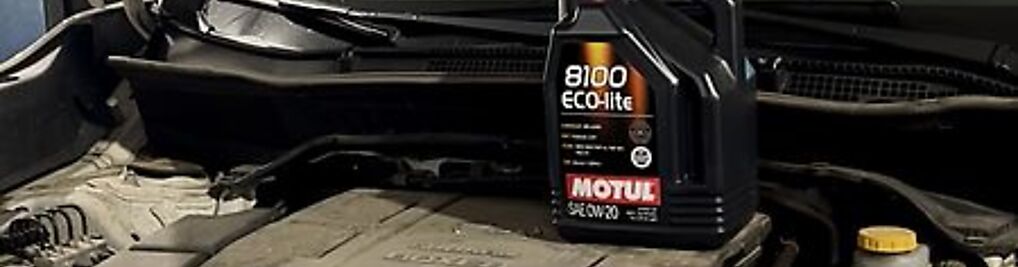 Zdjęcie w galerii Hybrid Master nr 8