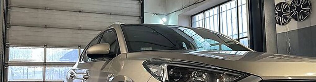 Zdjęcie w galerii Hybrid Master nr 1