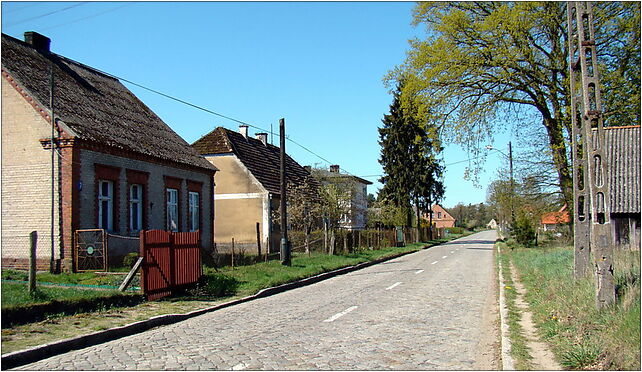 0904 Brzózki GNW ZPL, Brzózki114, Brzózki 72-022 - Zdjęcia