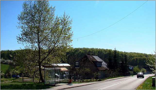 0904 Leśno Górne ZPL, Leśno Górne, Leśno Górne 72-004 - Zdjęcia