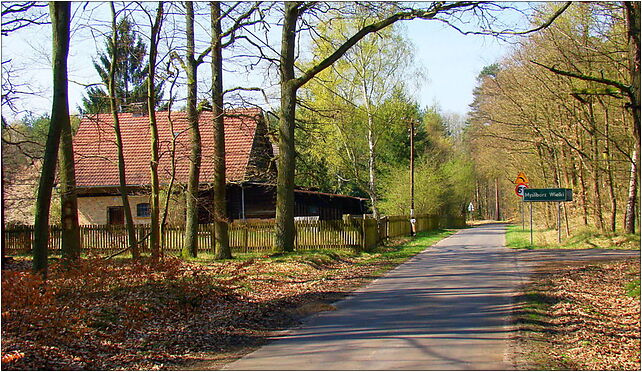 0904 Mysliborz Wie ZPL, Myślibórz Mały, Myślibórz Mały 72-022 - Zdjęcia