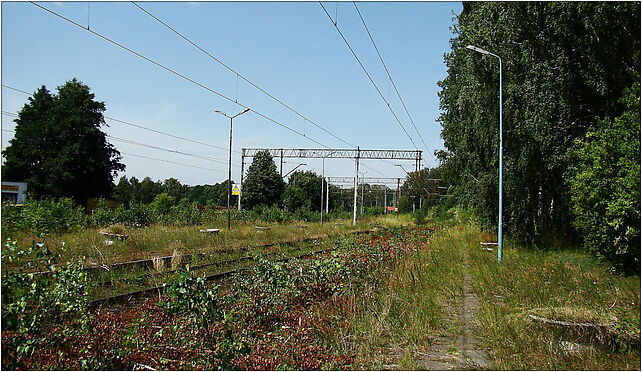 0907 St Trzebież Szczeciński 7 ZPL, Dworcowa, Trzebież 72-020 - Zdjęcia