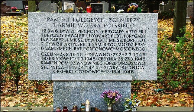1010 Cmentarz Centralny Szczecin SZN 1AWP, Mieszka I, Szczecin 70-106, od 71-007 do 71-011 - Zdjęcia