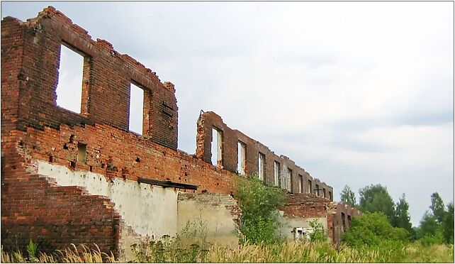 16.VIII.2006 r. Rzeczyce Sl. 238, Wiejska 76, Rzeczyce 44-164 - Zdjęcia