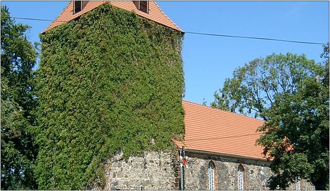 2007 Dąbie (województwo lubuskie) 01, Szeroka, Dąbie 66-615 - Zdjęcia