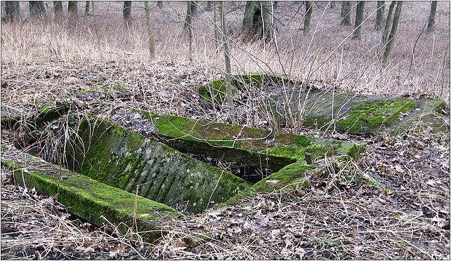 2008-02 Tołkiny 09, Tołkiny, Tołkiny 11-430 - Zdjęcia