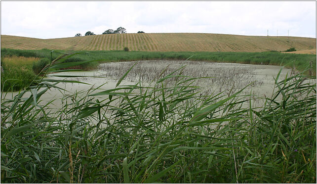 2009 Jezioro Mój, Dąbrowa, Dąbrowa 11-400 - Zdjęcia