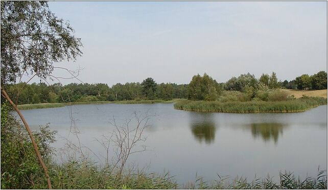 Śrem - zalew1, Gierymskiego, Śrem 63-100 - Zdjęcia