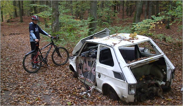 Abandoned Polski Fiat 126p in a forest, Kacze Buki, os., Gdynia 81-582 - Zdjęcia