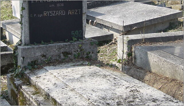 Arzt family grave, Damrota Konstantego, Bielsko-Biała 43-300 - Zdjęcia