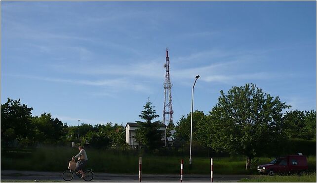 Błeszno, Palmowa, Częstochowa 42-208 - Zdjęcia