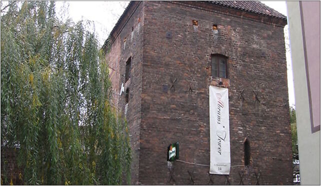 BasztaNiedzwiadka-Krai, Kraińskiego Wincentego, ks. 16, Wrocław 50-153 - Zdjęcia