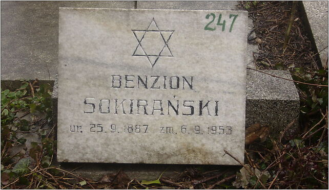 Benzion Sokirański grave, Damrota Konstantego 7b, Bielsko-Biała 43-300 - Zdjęcia