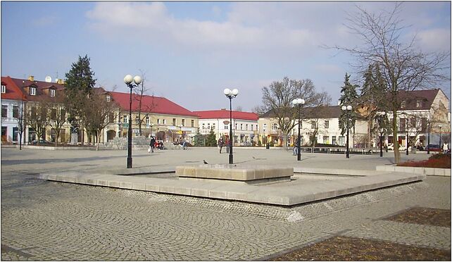 Biala-Podl-08030830, Plac Wolności, Biała Podlaska 21-500 - Zdjęcia