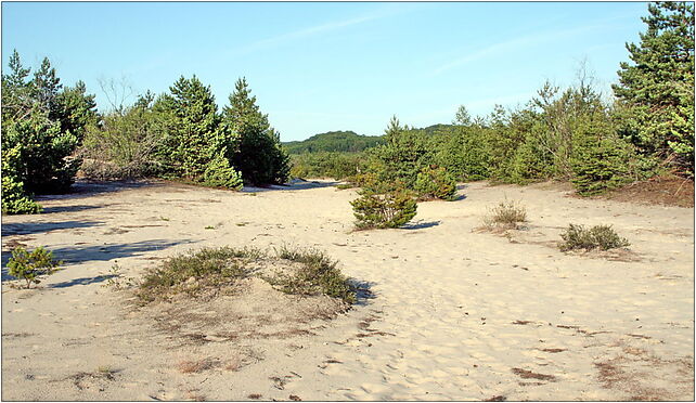 Bledow Desert SE part facing E, Pustynna, Chechło 32-310 - Zdjęcia