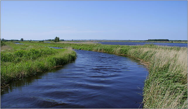 Blotnica from Glowaczewo railbridge 2009-06, Głowaczewo 78-133 - Zdjęcia