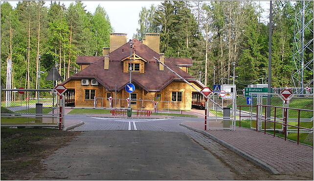 Border pl be in bialowieza beentree, Waszkiewicza Aleksandra, gen. 17-230 - Zdjęcia