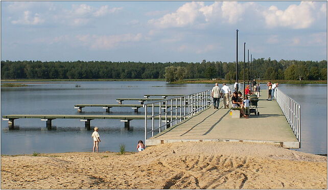 Borków 01 ssj 20050827, Borków 110, Borków 26-021 - Zdjęcia