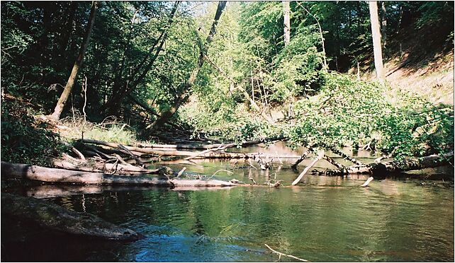 Brda in nature reserve Przyton, Rudniki - Zdjęcia