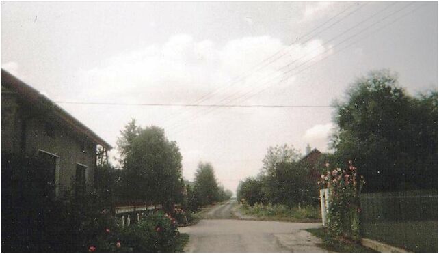 Bronislawow Osuchowski, Leśna, Bronisławów 96-320 - Zdjęcia