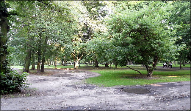 Brwinow, park miejski 5, Rynek 14, Brwinów 05-840 - Zdjęcia