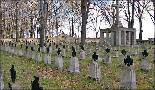 Brzesko - cmentarz wojskowy, Brzegowa 3b, Brzesko 32-800 - Zdjęcia