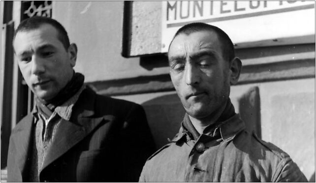 Bundesarchiv Bild 121-0319, Krakau, Gefängnis Montelupich, Häftling 31-155 - Zdjęcia