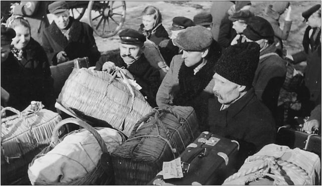Bundesarchiv Bild 137-070980, Soldau, Umsiedlung Litauendeutscher 13-200 - Zdjęcia