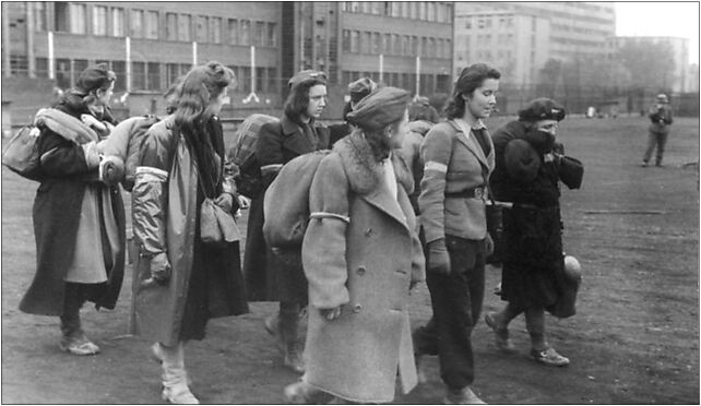 Bundesarchiv Bild 146-1991-015-26A, Warschauer Aufstand, Frauen 02-009 - Zdjęcia