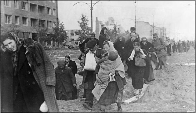 Bundesarchiv Bild 146-2005-0041, Warschauer Aufstand, Kapitulation 02-620 - Zdjęcia