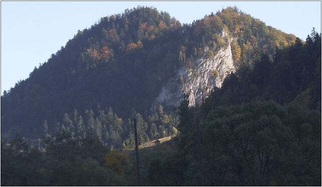 Bystrzyk a1, Zyblikiewicza, Szczawnica 34-460 - Zdjęcia