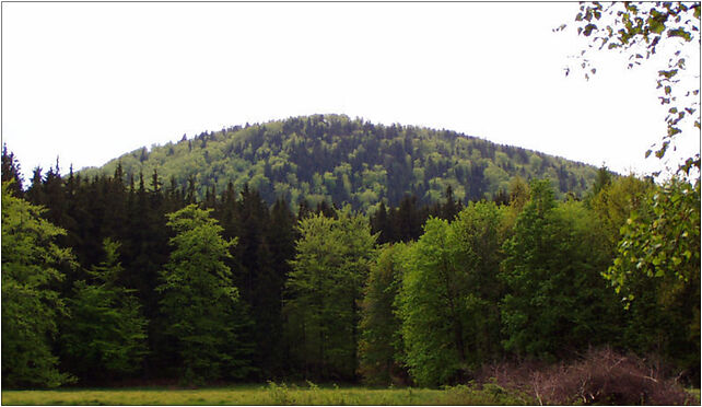 Chelmiec (Hochwald) mountain4 summer, Boguszów-Gorce od 58-370 do 58-375 - Zdjęcia