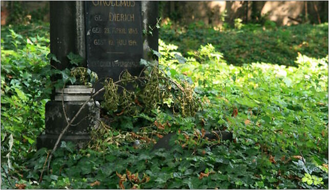 Chorzów - Cmentarz przy ul. Katowickiej 02, Katowicka79, Chorzów 41-500 - Zdjęcia